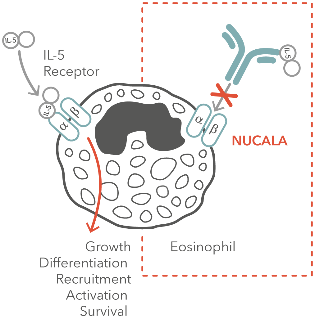 diagram of the mechanism of action of Nucala